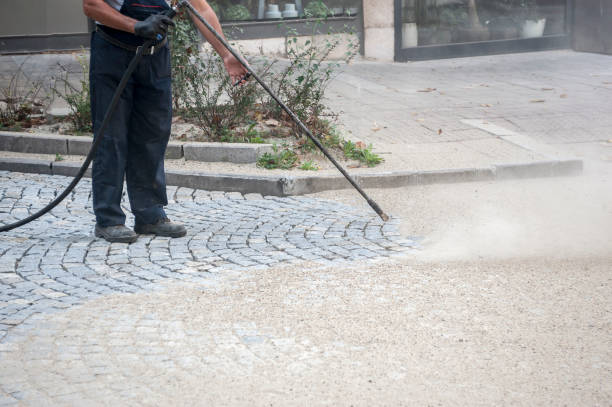 Best Roof Cleaning and Mildew Removal in Kenilworth, NJ